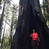 Janet Goldblatt's photo