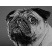 Peggy Bennett's photo