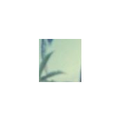 Mona Abdelhay's photo
