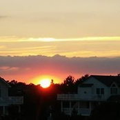 Steve Buss's photo