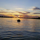 Anna McIntosh's photo
