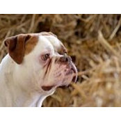 Stacy Weis's photo
