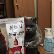 Photo de 楠幸子