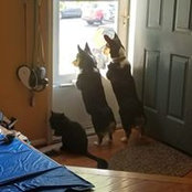 Susan Rothfuss Talpas's photo