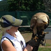 Elisabeth Kohlmayer's photo