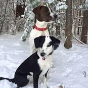 Jane LeBrun's photo