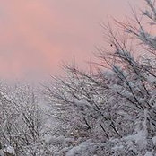 Robin Addesa's photo