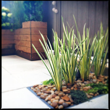 Small Brooklyn, NYC Deck: Paver Patio, Planter Box, Composite Fence, Containers
