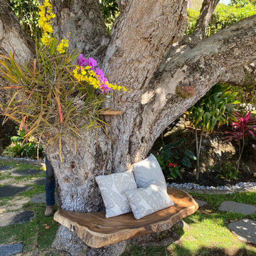 100 Year Old Tree Bench