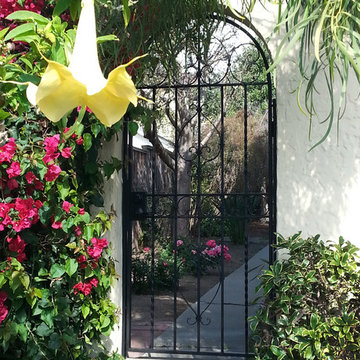 A Look into Our Gardens