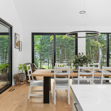 Forest Edge