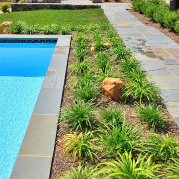 Bethesda, MD Contemporary Hardscape