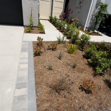 After Picture