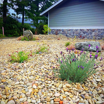 Xeriscape Install With Dry Creek + Low Water Plantings