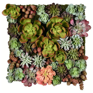 Vickerman 16.5" Multi-Colored Succulent Wall Arrangement