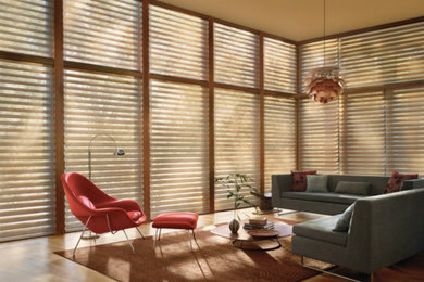 Window Shades & Privacy Sheers