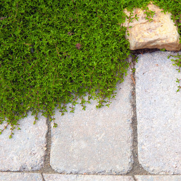 Walkways