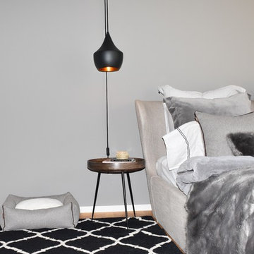 Dog Friendly Interiors