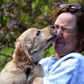 Sheila Schick's photo