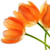 Nisha's photo