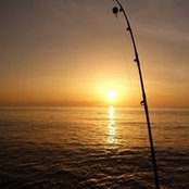 Michael Riley's photo