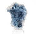 Empressive Earth Gallery's profile photo