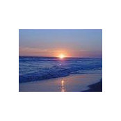 Peter Purcarelu's photo