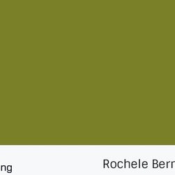 Rochele Colours - Products