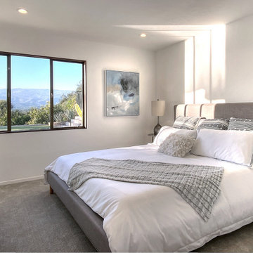 Hope Ranch Mid Century Modern
