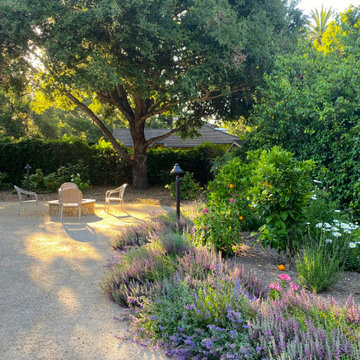 Montecito Hedgerow