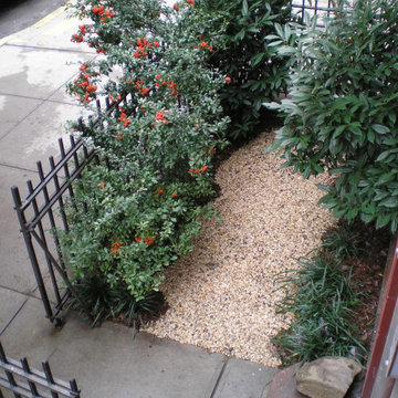 New York City Gardens - Prospect Heights, Brooklyn