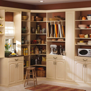 Large transitional kitchen pantry appliance - Example of a large transitional l-shaped medium tone wood floor kitchen pantry design in Columbus with open cabinets, white cabinets and no island
