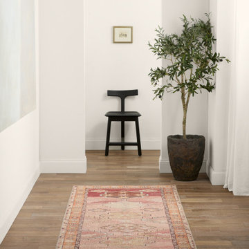 CAN04 | RUG154734