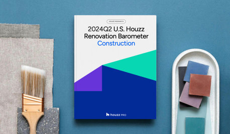 2024Q2 Houzz Renovation Barometer - Construction Sector