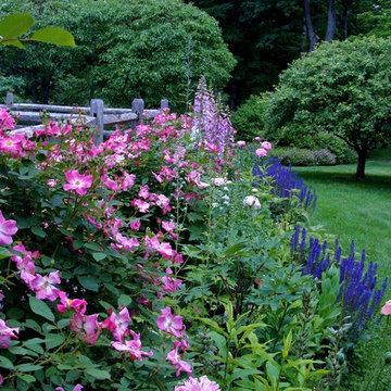 Perennial Gardens