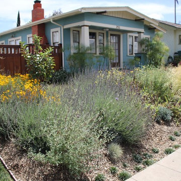 Water Wise Craftsman Home Landscaping