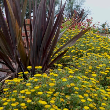 Yellow mass planting contrasts with brick entry