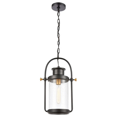 Transitional One Light Outdoor Hanging Lantern Ceiling Light - Lantern Style