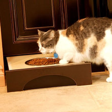 catfood dish