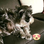 Jeff Perryさんの写真