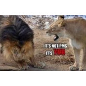 Scott Chalmers's photo