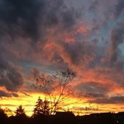 Tracey Wade's photo