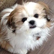 Kathy Hannah's photo