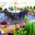 Brightside Landscape Design