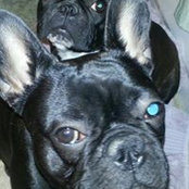Trisha Renno's photo
