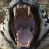 Satyendra Tiwari's photo