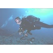 Mark Kaltenbach's photo
