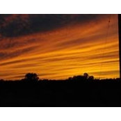 Julie Waldron's photo