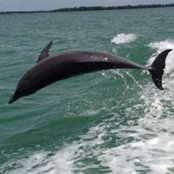 Sue Kibler's photo