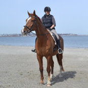 Anya Cromie's photo